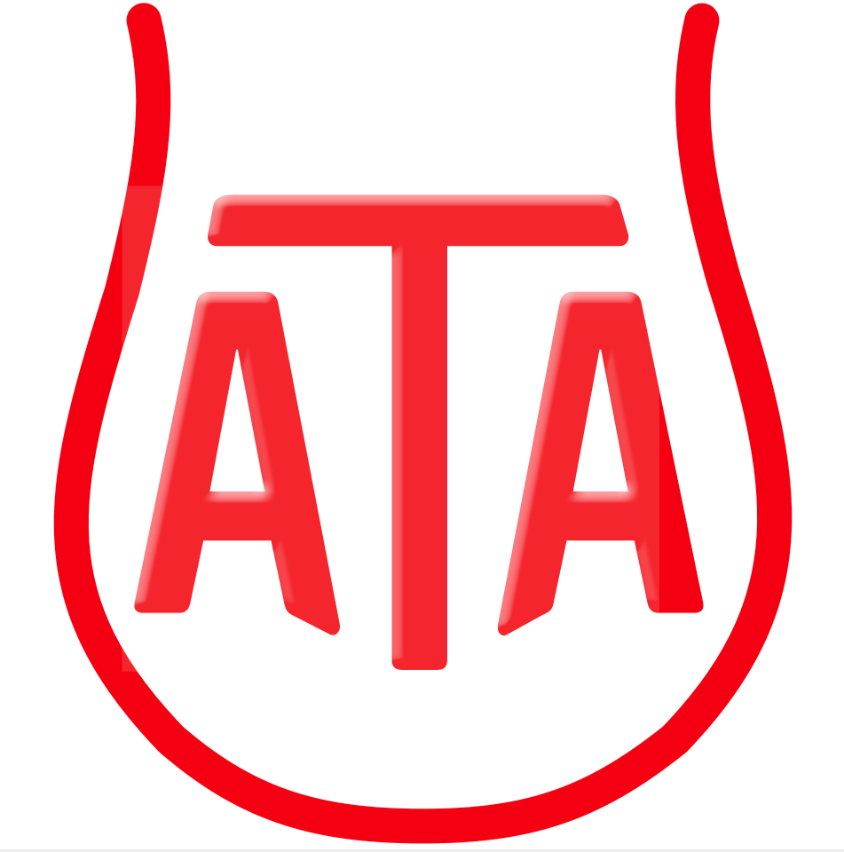 Ata Street Food Berlin Logo